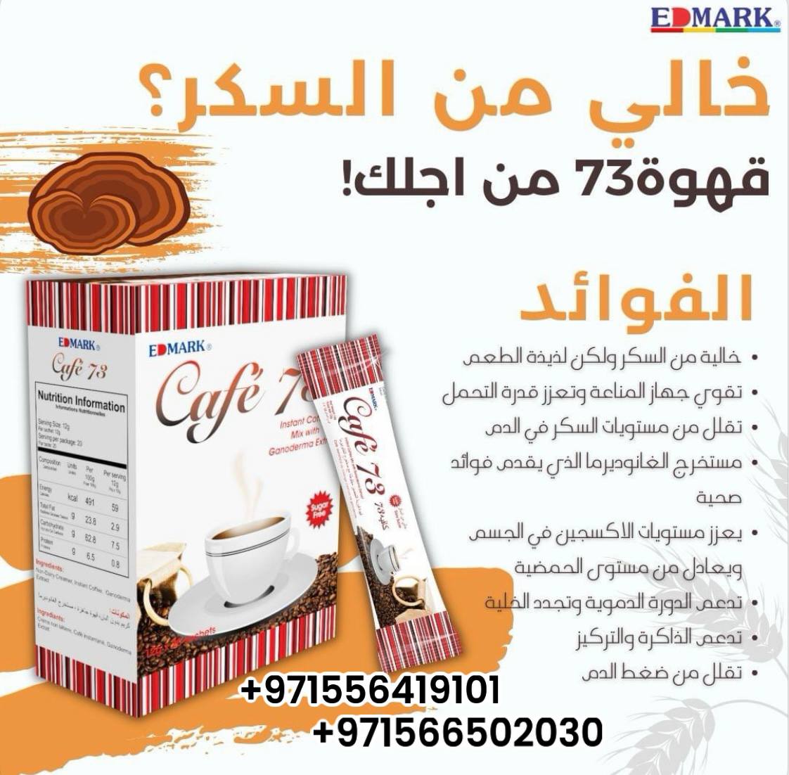 كافيه 73 - الفطر الريشى - الصورة 8